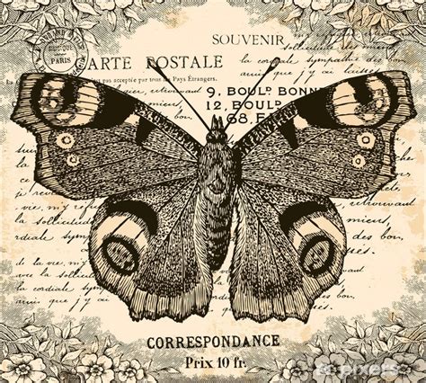 Poster Vintage Butterfly Pixersuk