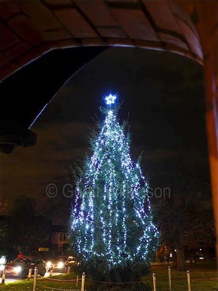 Wanstead Daily Photo The Wanstead Christmas Tree Part 2