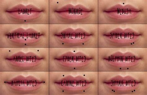 Different Types Of Lip Piercings Piercings Pinterest Different