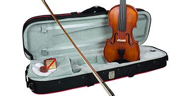 What should i name my violin. How much should I spend on my first violin? - Hidersine ...