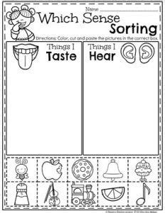 Activities use specific worksheets, science sense senses the touching, worksheets. Pin on Education