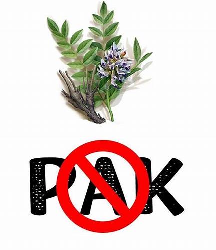 Солодка корень при диете Солодка против рака - Завод "Солодка" Солодка при раке Солодка против рака - Завод "Солодка" Солодка при раке Солодка корень при диете