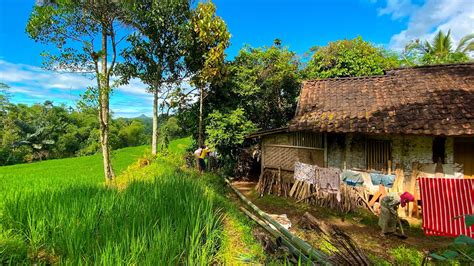 Suasana Pedesaan Yang Di Cari Orang Kota Kehidupan Sederhana Di