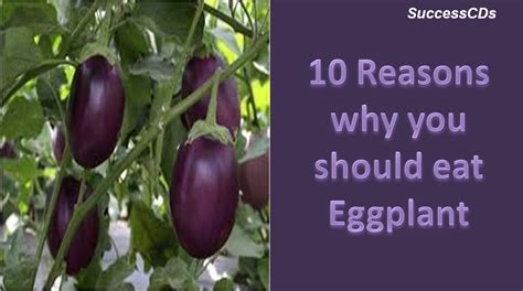 eggplant nutrition facts eggplant health benefits youtube