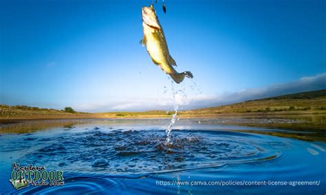 Statewide MT Fishing Report Compilation 6.28.23 - Montana Hunting and