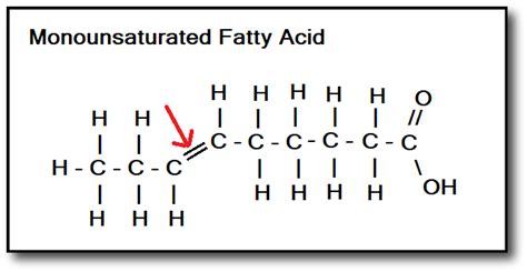 Saturated Fats Vs Unsaturated Whats The Difference Which To Choose