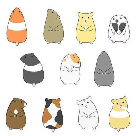 Royalty Free Hamster Clip Art Vector Images And Illustrations Istock