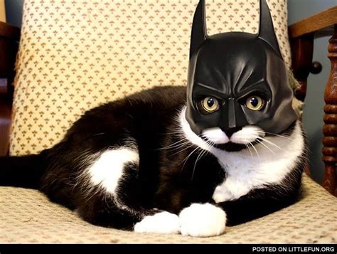 Littlefun Batman Cat