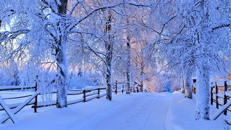 Nature Winter Snow Road Tree Forest Sky Landscape White Beautiful Cool