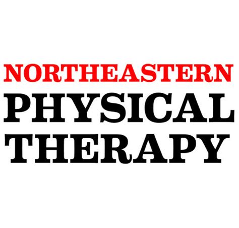 Northeastern University Physical Therapy Club Apparel 2015 Custom Ink