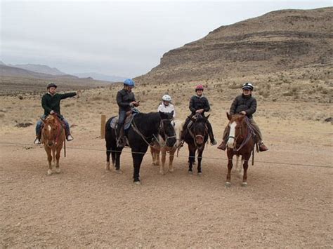 Cowboy Trail Rides Inc Las Vegas 2021 All You Need To Know Before