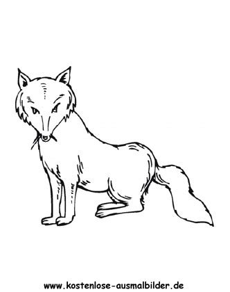 Und malbuch din a4 pdf datei zu den malvorlagen zum. Ausmalbilder Fuchs 2 - Tiere zum ausmalen | Malvorlagen Fuechse