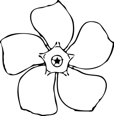 Free flower black and white transparent background. periwinkle flower top view black white line art ...