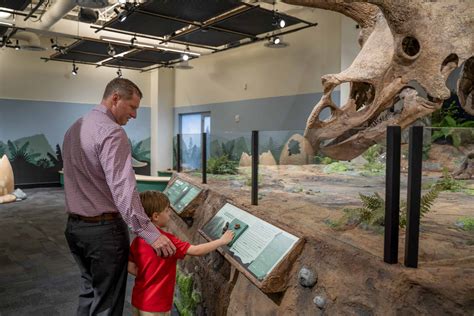 How to See the World's Largest Triceratops at Glazer Children's Museum