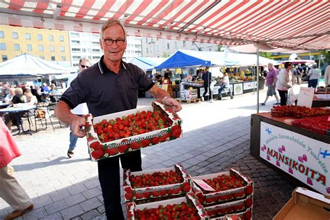 Viimeisiä mansikoita viedään nyt! | Päijät-Häme | Etelä-Suomen Sanomat
