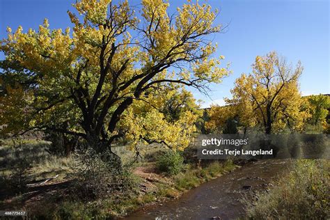 Jemez River New Mexico High Res Stock Photo Getty Images