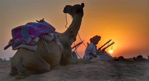 13 Best Things To Do In Bikaner And Complete Travel Guide