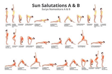 Thus in english, surya namaskar is also referred to as sun salutation. Yoga Chart of Sun Salutations. 24"x36" full color yoga poster fits into standard size frame ...