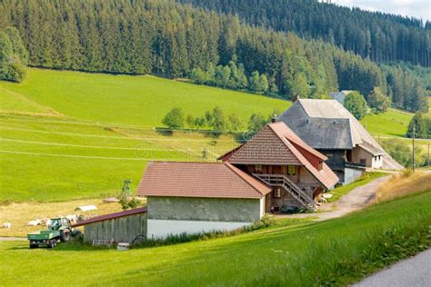 Traditional Black Forest Farm House Stock Photo Image Of Schwarzwald