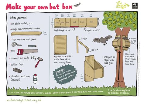 How do you make a homemade bat house? How to build a bat box | The Wildlife Trusts
