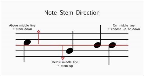 Note Lengths Music Theory Academy