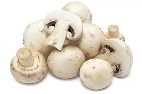 Can cats eat cooked mushrooms? Can you eat raw mushrooms? - Quora
