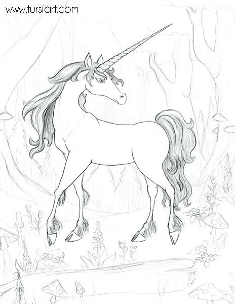 You can just make a u shape or get a bit more detailed with your step 9. Unicorn Pencil Drawing at GetDrawings | Free download