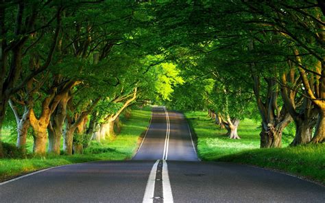 Road Spring Wallpapers Wallpaper Cave
