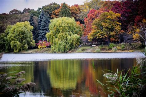 The Best Places To Take In The Fall Foliage In Toronto Curated