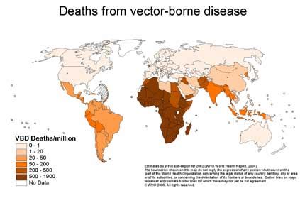 17 Vectors In Disease Transmission Images - Vector-Borne Transmission