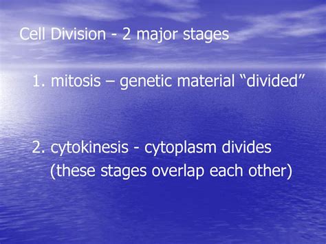 Why Is Cell Division Important Ppt Download