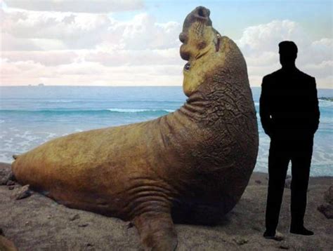 Biggest animals are riveting in itself…whenever we envision the word biggest animal, what embroils your mind? Top 20 Giant Animals Around The World - XciteFun.net