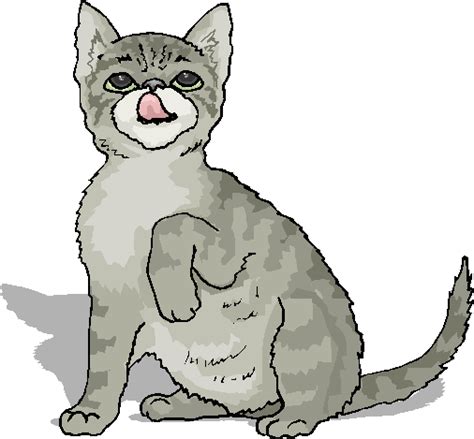 Funny Cat Clipart 20 Free Cliparts Download Images On Clipground 2024