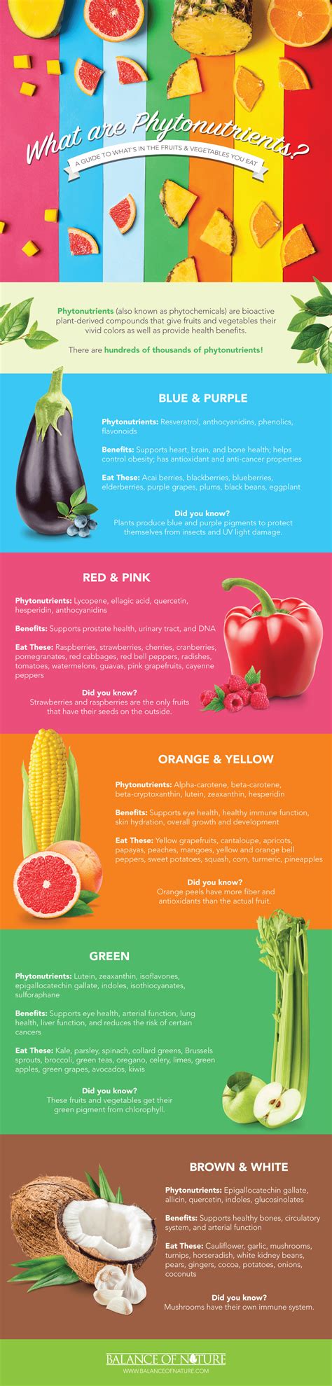 What Are Phytonutrients