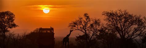 15 Things To Expect On Your First African Safari Vacation