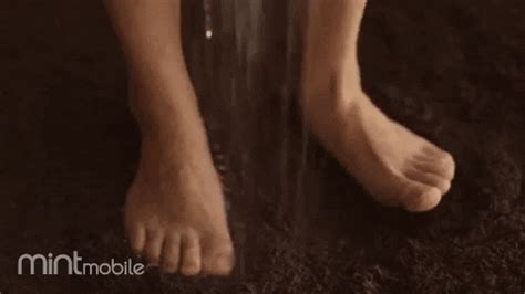 Wet Shag Carpet GIFs Get The Best GIF On GIPHY