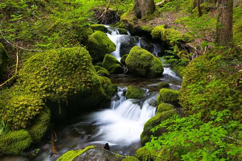 Photography Of Waterfalls Between Green Trees Mount Rainier National