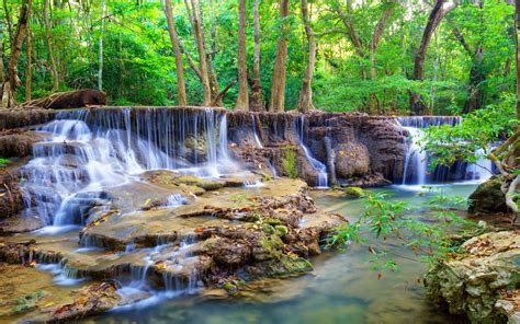 Waterfalls Forests Stones Nature Wallpapers And Photos
