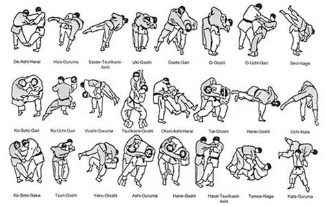 Judo Throws Passiondancetraining Pinterest