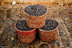 Acai bobice će svojom kombinacijom antioksidansa, esencijalnih masnih kiselina, fitosterola i aminokiselina pomoći tijelu da bolje funkcionira. Akai bobice asai beri acai: Acai bobice