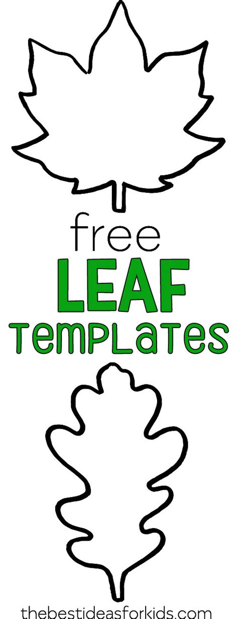 Leaf Template The Best Ideas For Kids