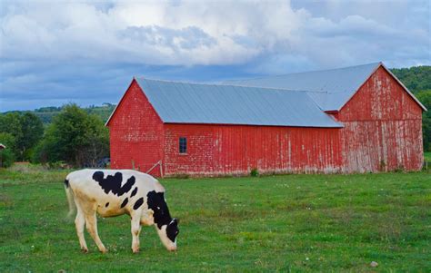 Farm Scene O Canada