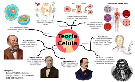 Mapa Mental De La Teoria Celular Uggboots The Best Porn Website