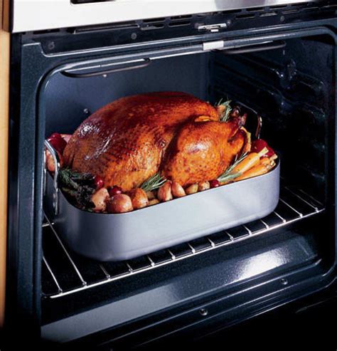 Convection bake vs regular bake? GE JK955WFWW 27 Inch Built-in Double Electric Wall Oven ...