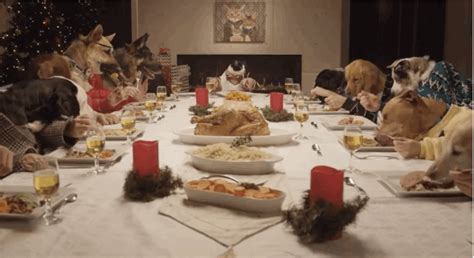 S Of Hilarious Dogs That Capture Every Person At Your Holiday Dinner