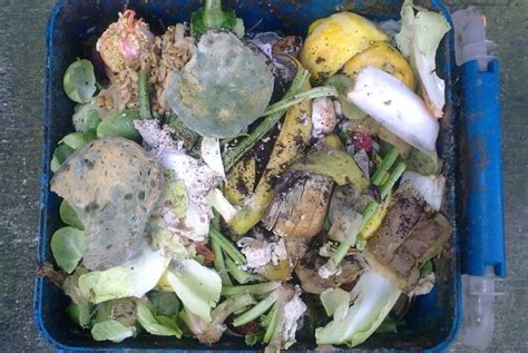 Cara Membuat Pupuk Organik Dari Sisa Bahan Makanan Di Dapur Republika