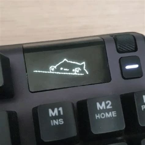 Steelseries Oled Gifs Bongo Cat It Creates A Scrolling Repeating D Hot Sex Picture