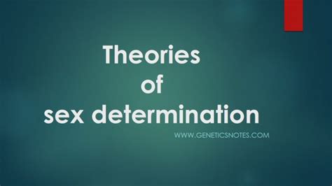 Theories Of Sex Determination In Organisms Online Biology Notes