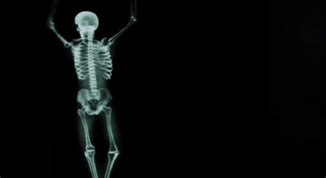 Gifs Of An X Rayed Skeleton Show How Our Bones Move Gifs Izismile Com