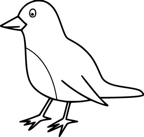 Fun Robin Bird Coloring Page Download Print Or Color Online For Free